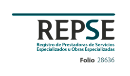 REPSE